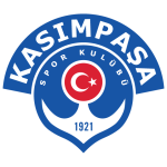 Home Team Flag