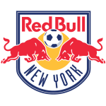 Home Team Flag
