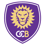 Home Team Flag