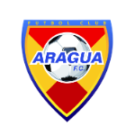 Home Team Flag