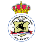 Home Team Flag