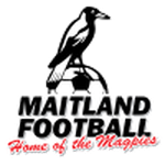 Home Team Flag