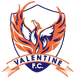 Away Team Flag