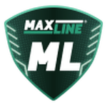 Home Team Flag