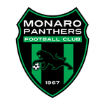 Away Team Flag