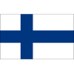 Home Team Flag